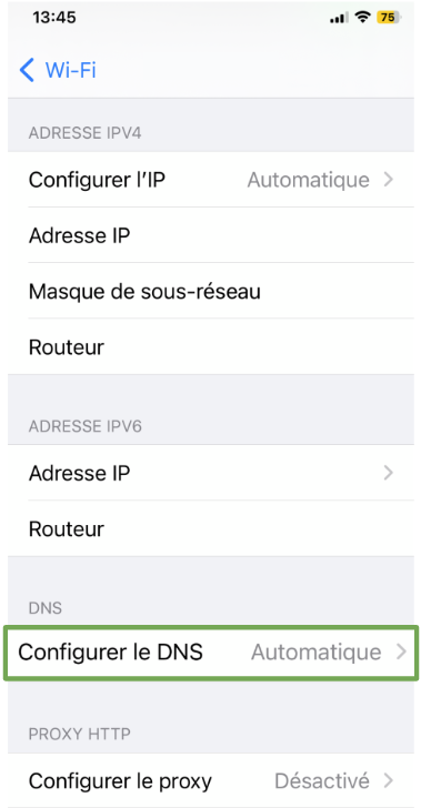 The network information page of an iOS device, showing the Configure DNS menu option.