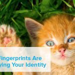 5 parts of your body that betray your identity