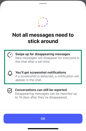 Instagram privacy screen showing disappearing messages parameters after activation.